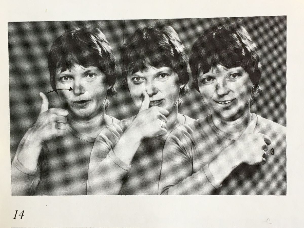 Hvad er historien bag de forskellige talsystemer på dansk tegnsprog?